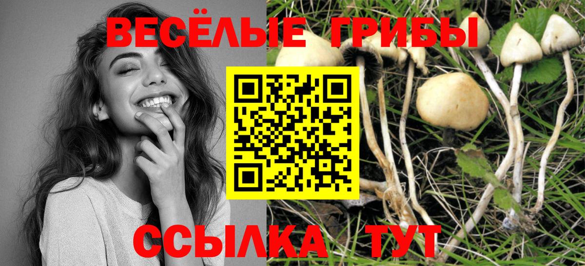 Псилоцибиновые грибы мухоморы Отрадное
