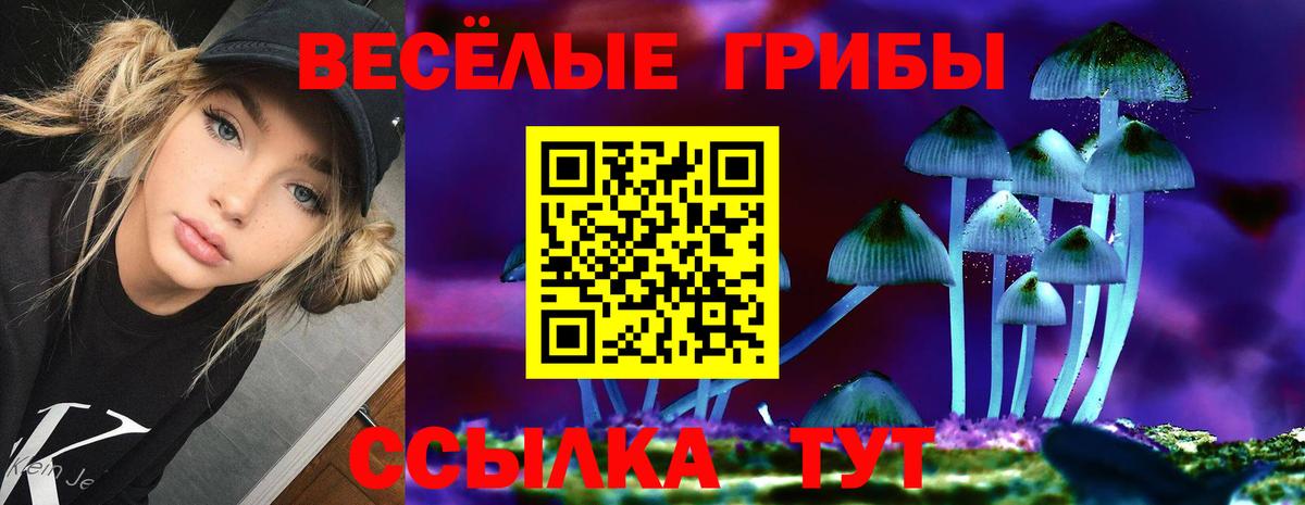 Галлюциногенные грибы MAGIC MUSHROOMS  Вход с VPN  Отрадное 